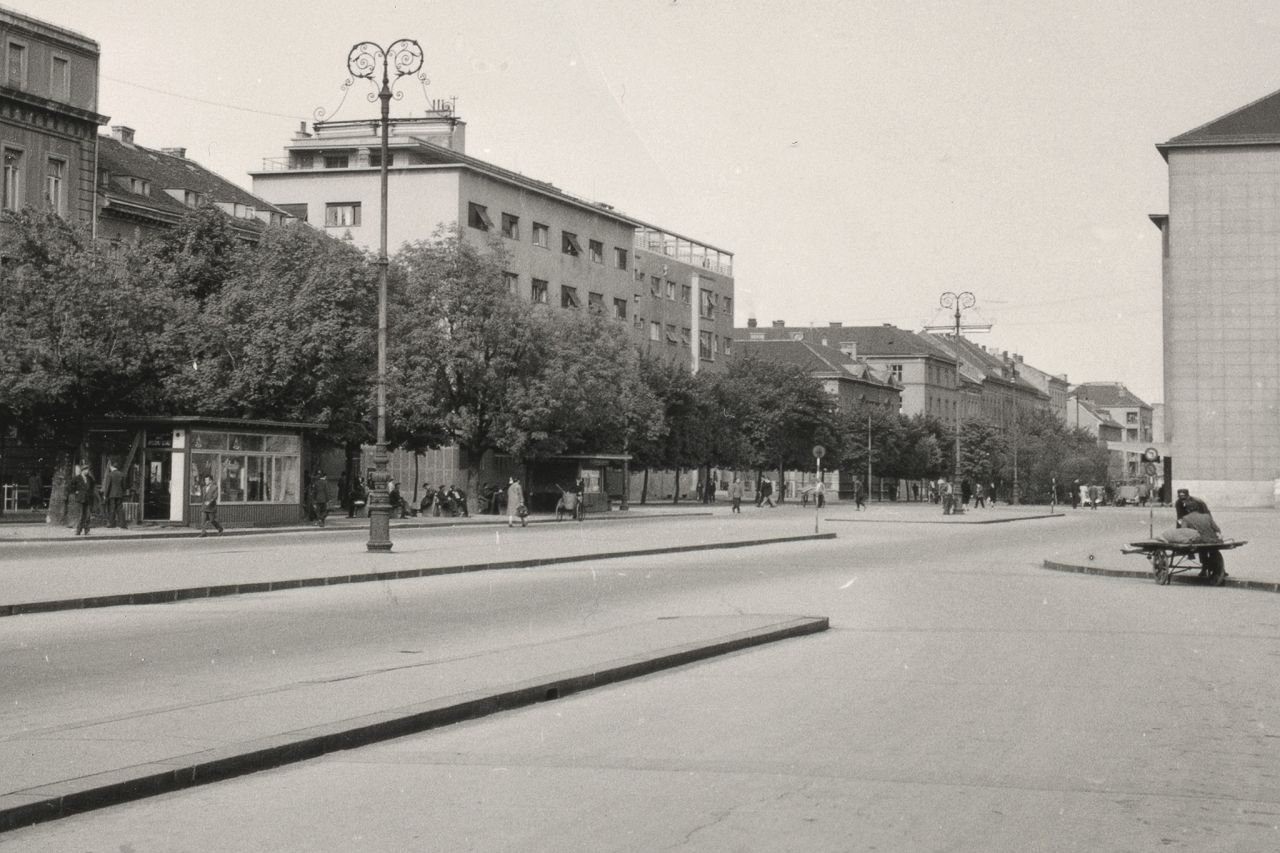 Branimirova cesta, 1956. godina